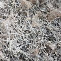 shreded-product-atlas